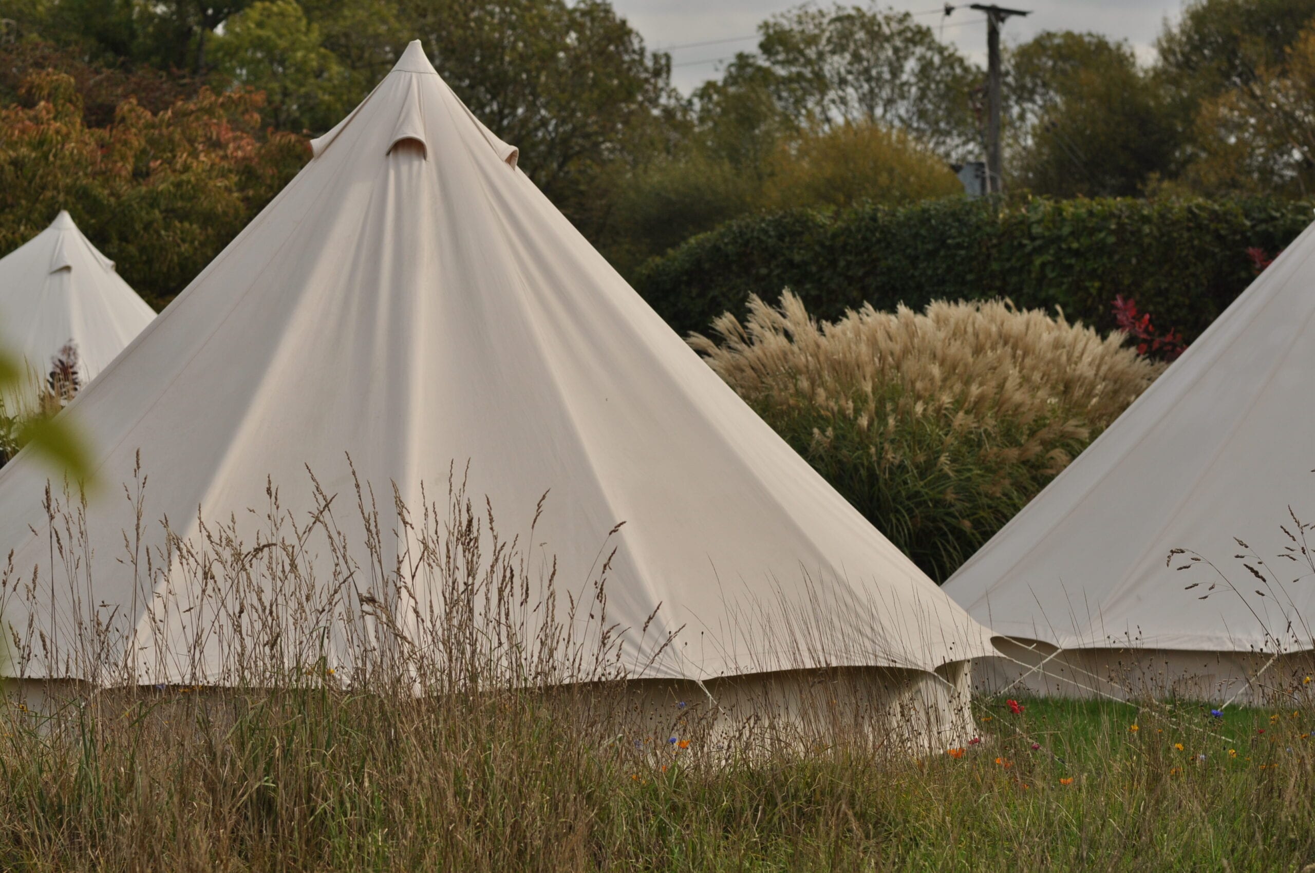An Arabian Tents marquee dressed for an event