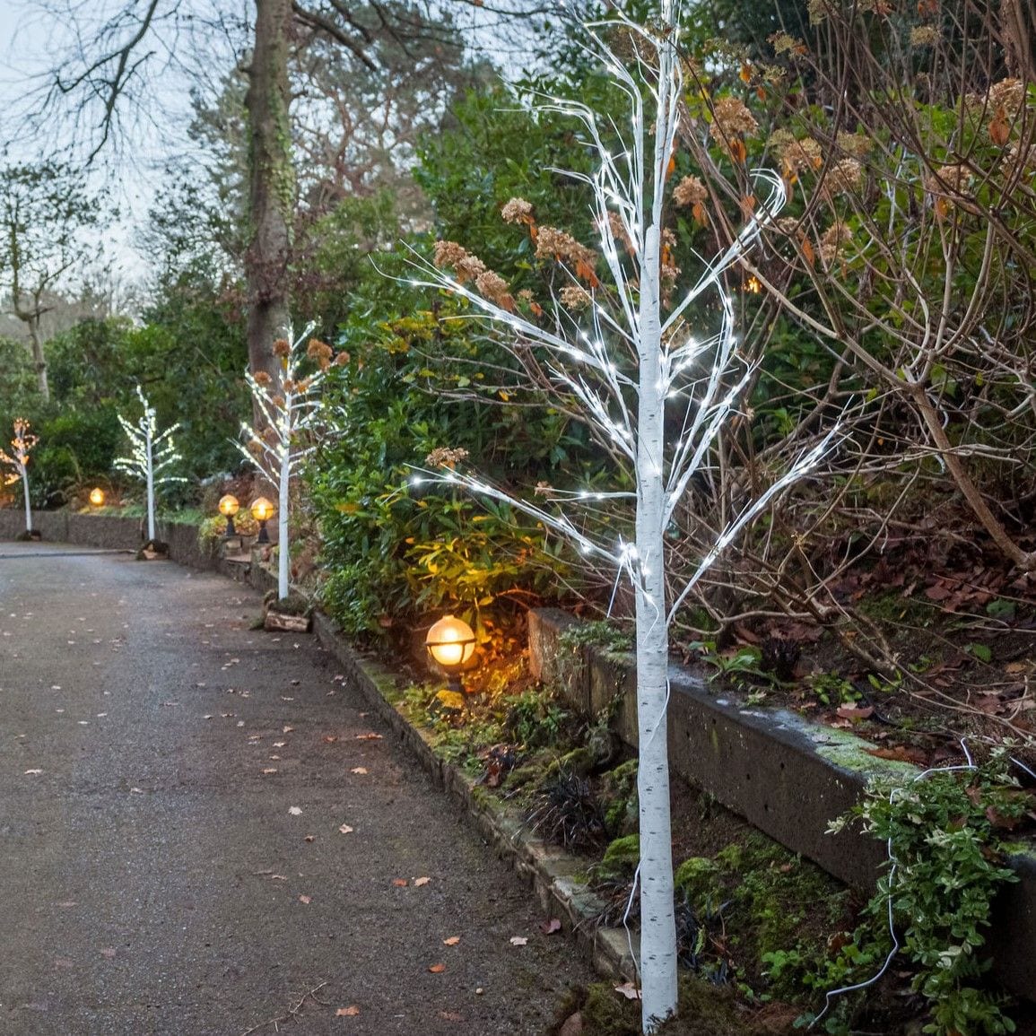 LED Birch Tree