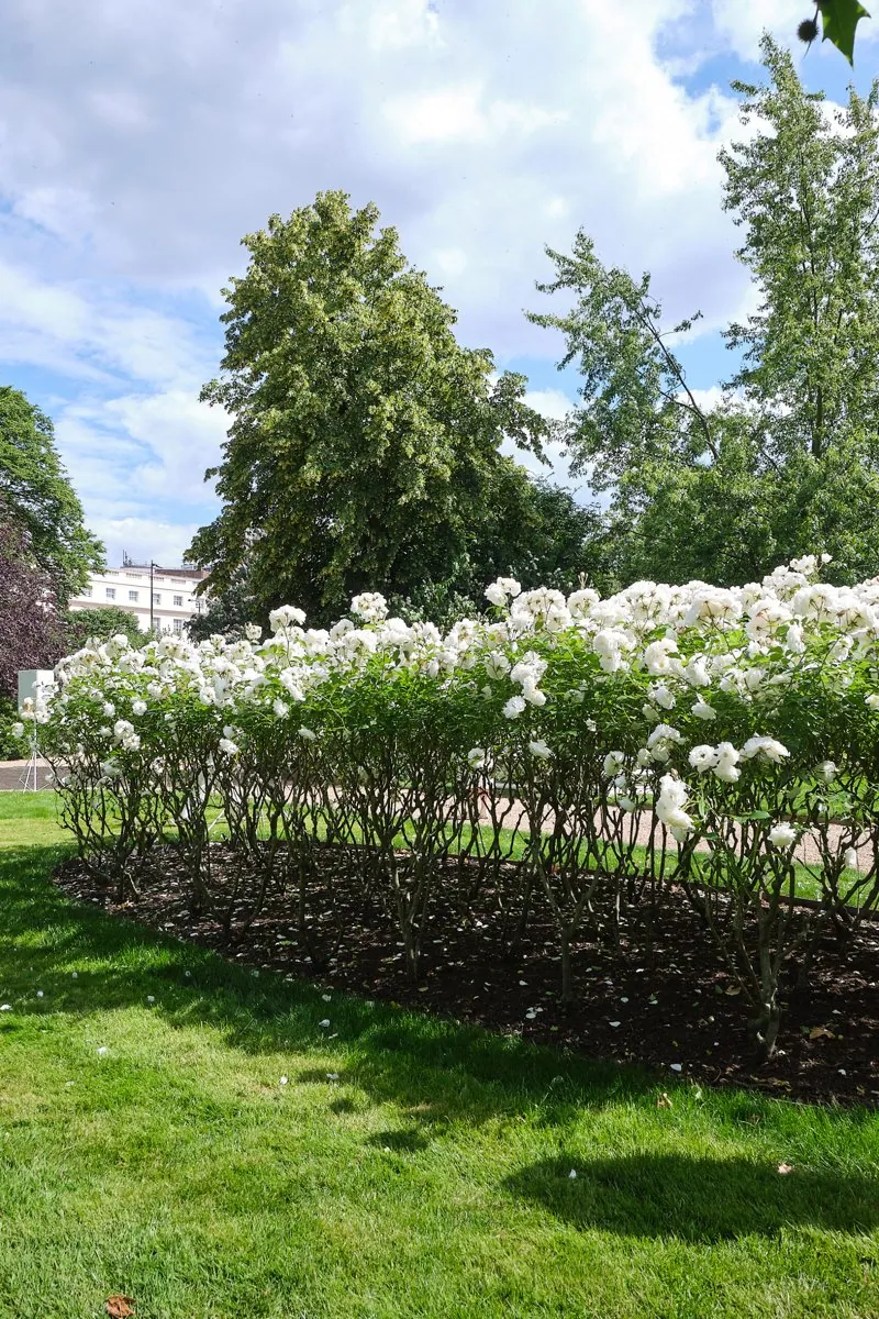 How to Throw An English Garden Party Fit For Royalty