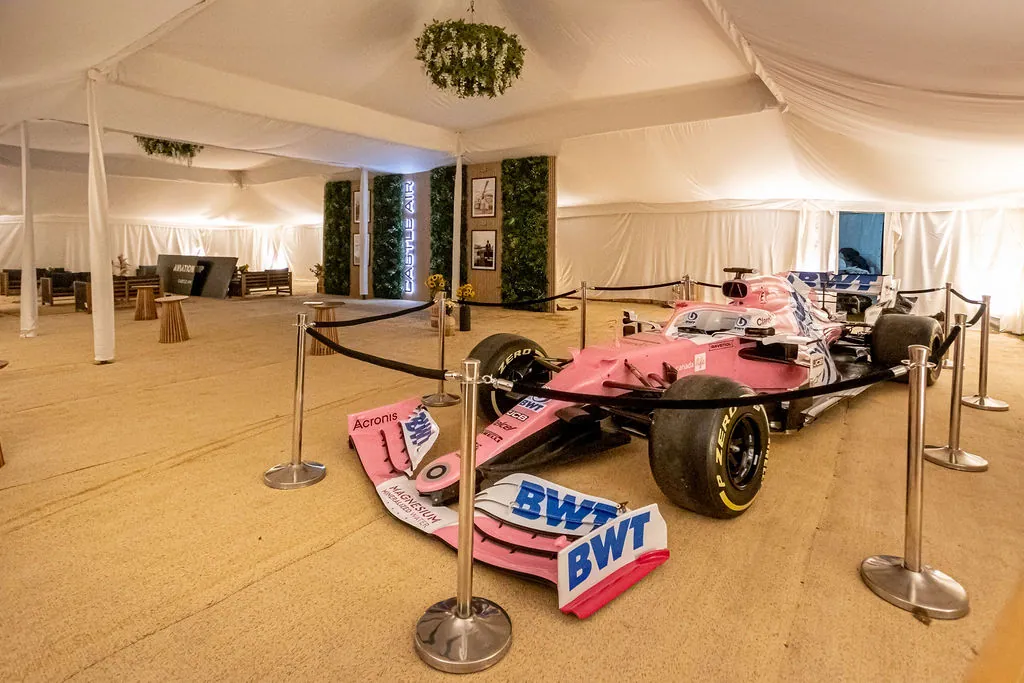 Corporate Hospitality: Aviation Polo