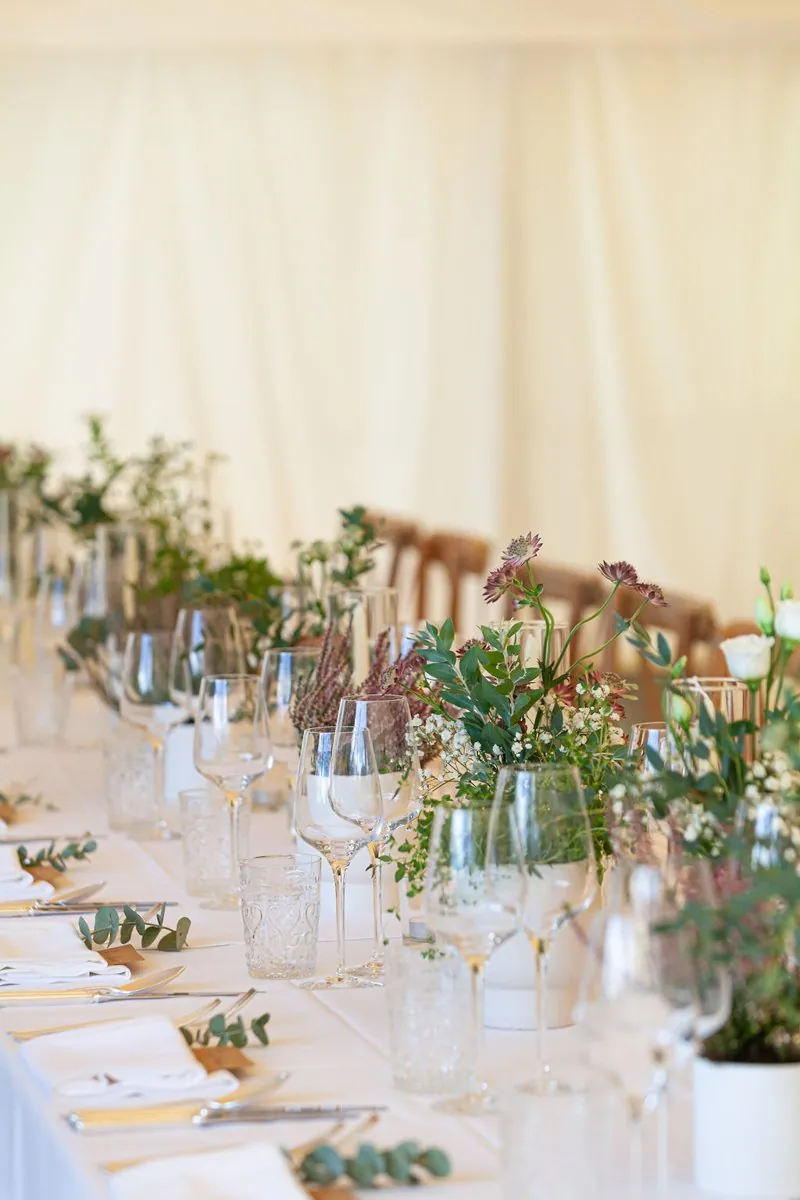 How To Host A Midsummer Night’s Dream Party!
