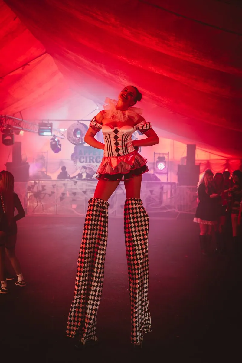 Circus Themed Party Ideas