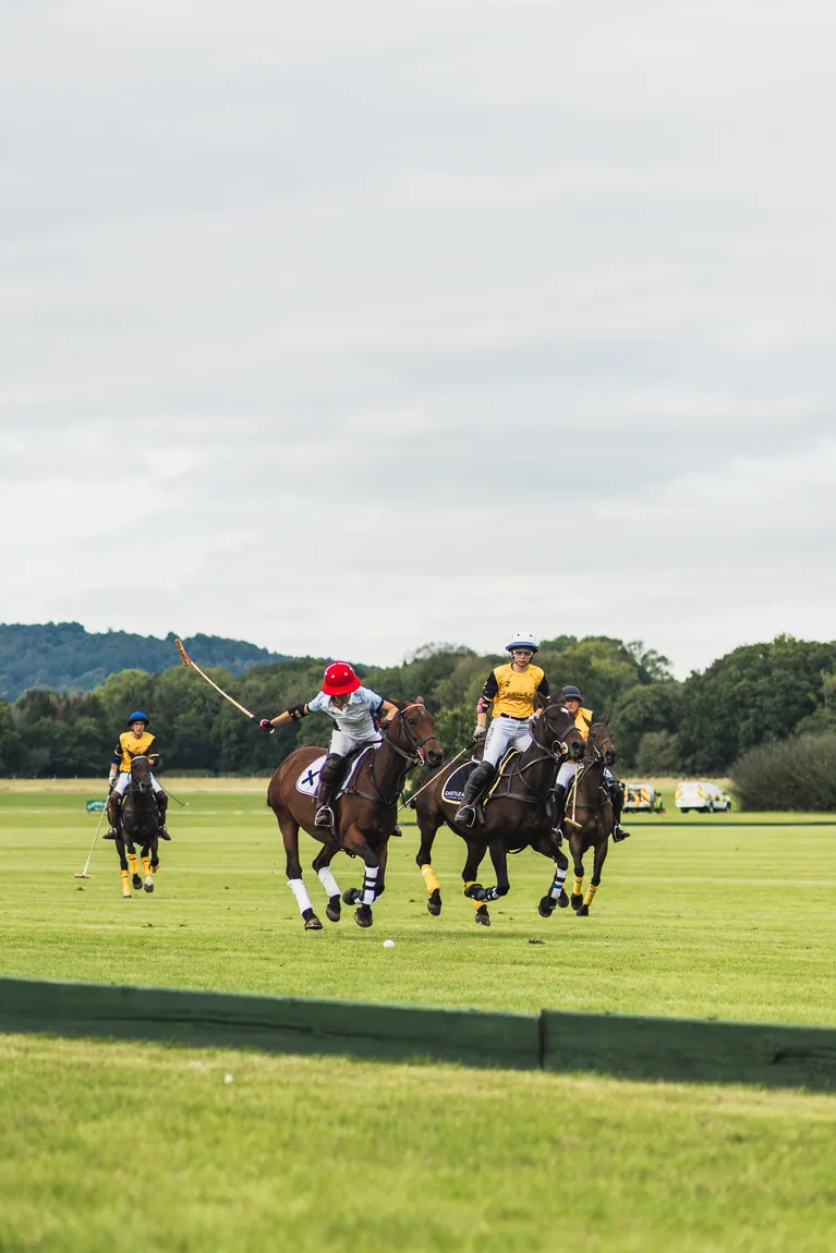 Corporate Hospitality: Aviation Polo