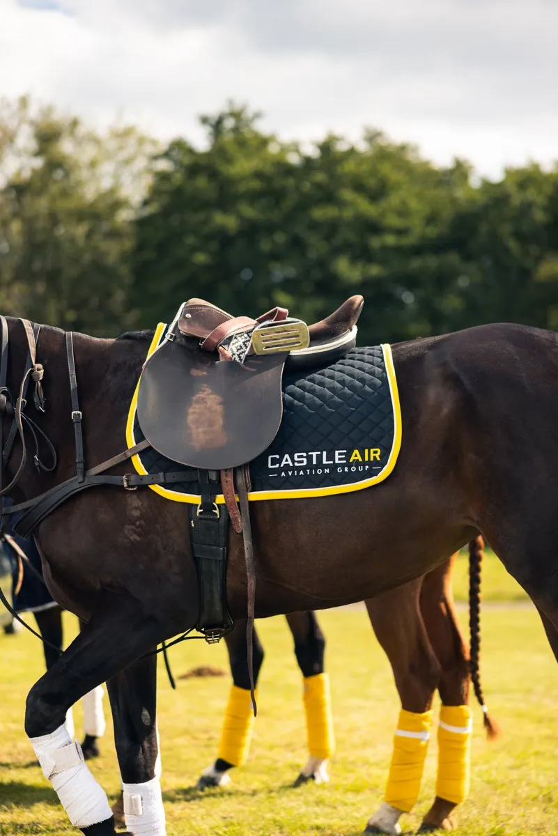 Corporate Hospitality: Aviation Polo