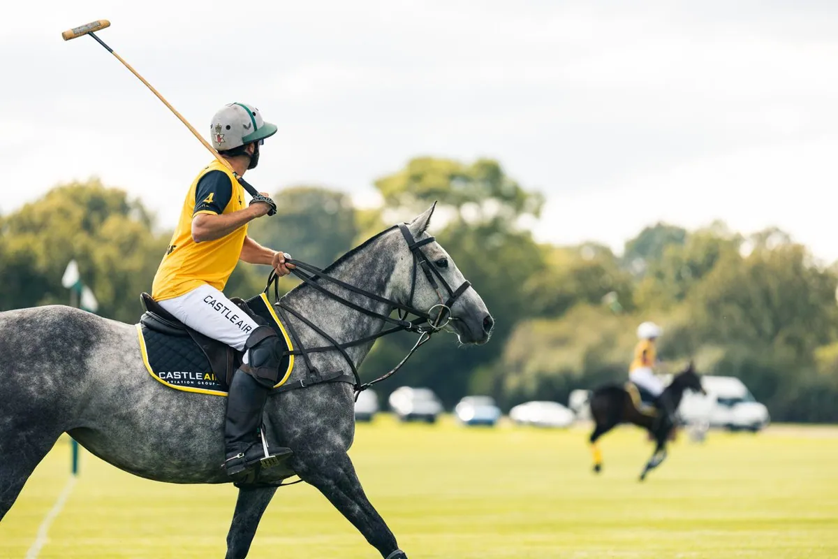 Corporate Hospitality: Aviation Polo