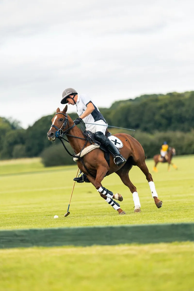 Corporate Hospitality: Aviation Polo