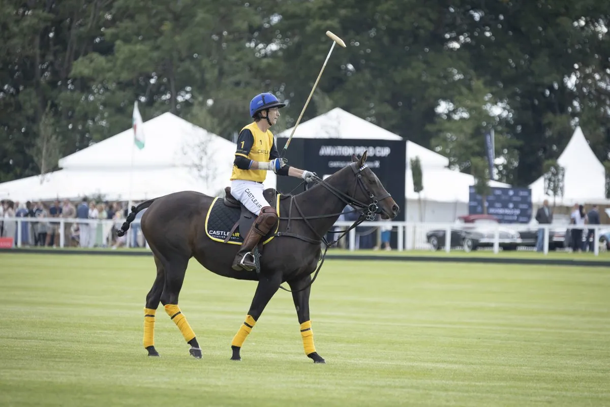 Corporate Hospitality: Aviation Polo