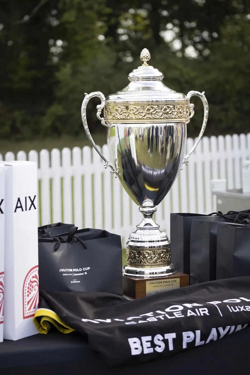 Corporate Hospitality: Aviation Polo