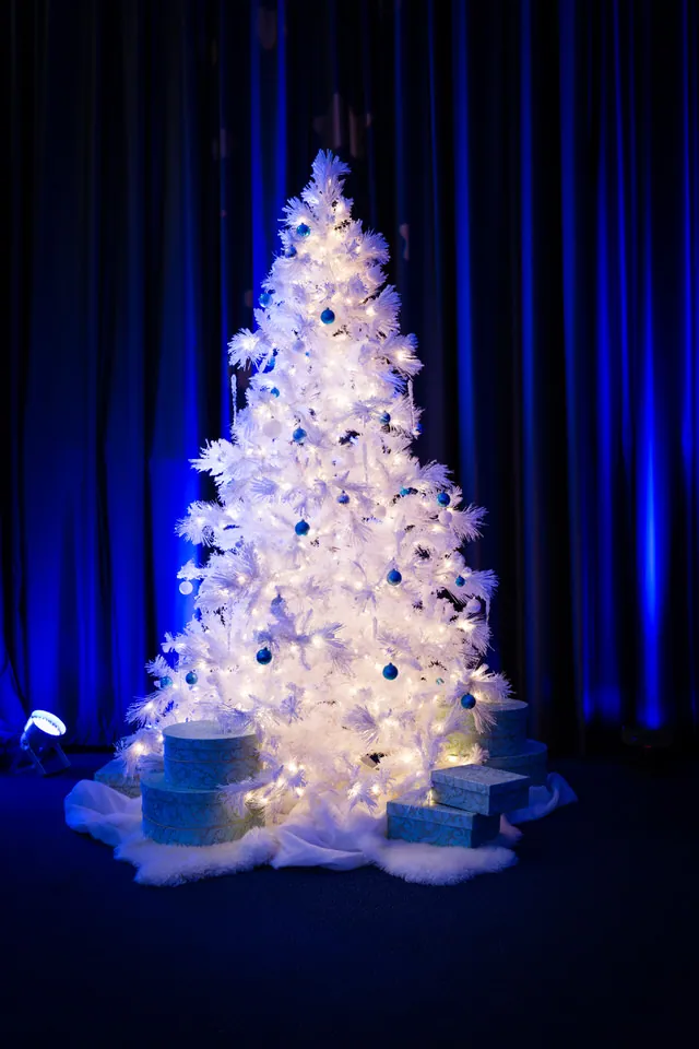 Winter Wonderland Theme