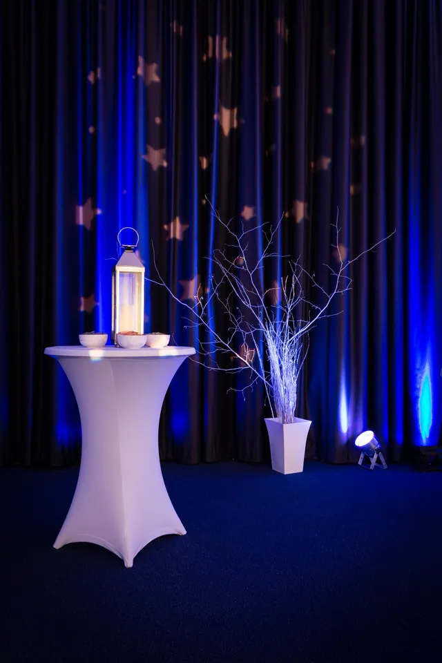 Winter Wonderland Theme