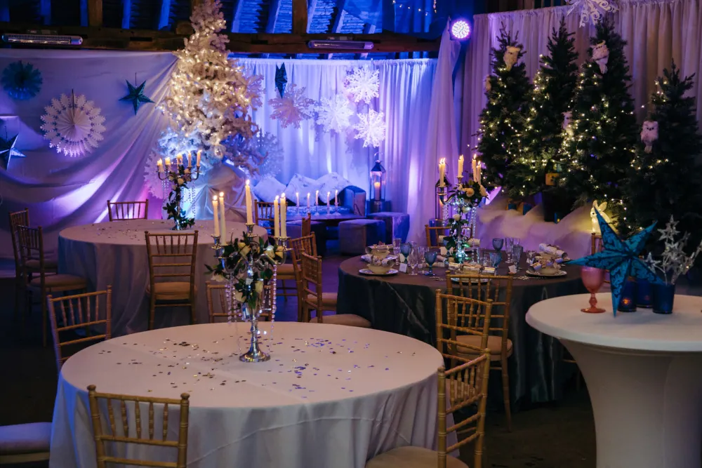 Winter Wonderland Theme