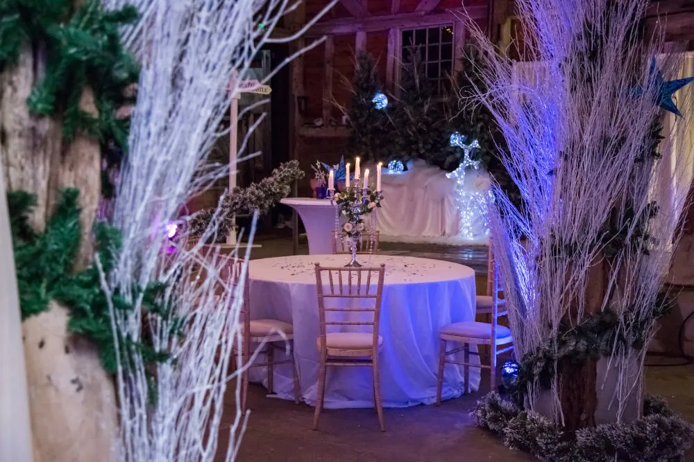 Winter Wonderland Theme
