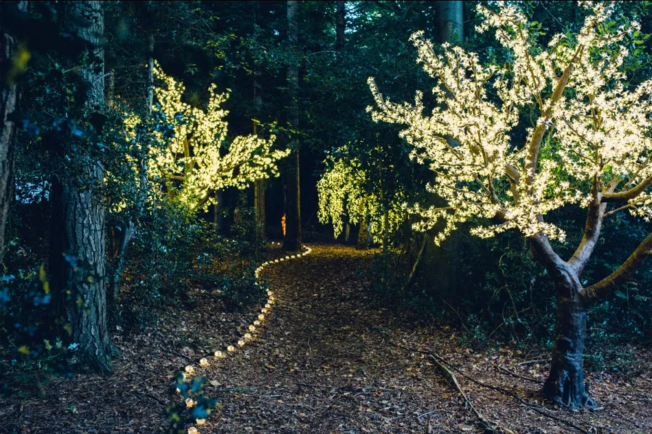15 Themes You Should Consider For Your New Years Eve Party